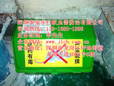 坪山專業(yè)除蟲(chóng)滅鼠、白蟻防治